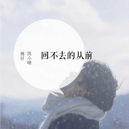 像个孩子没有了方式是什么歌，歌曲《回不去的从前》