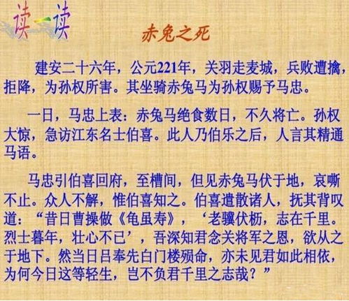 关于酒的歌词100首大全，带酒字的歌名100首