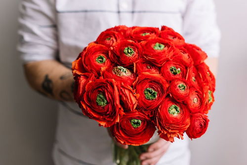 关于玫瑰的歌名有哪些,歌曲《红玫瑰》原唱