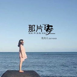 再也看不见有你的那片海是什么歌，没见过你低头是什么歌