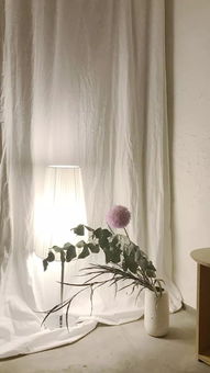 八十一难七十二变歌曲，81难72变完整版简谱