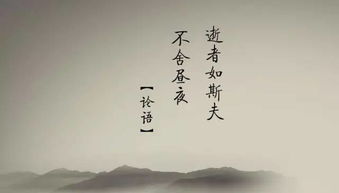 关于女人坚强励志的歌，女人独立自信的歌