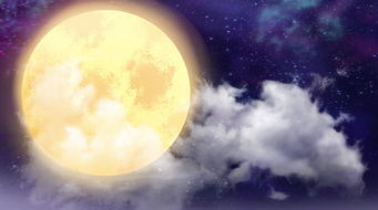 关于月亮的网红歌曲，儿歌《月亮》