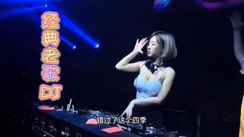 全部DJ经典老歌，十大DJ歌曲