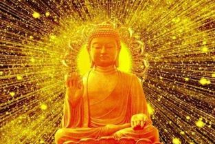 养心佛歌12首，最好听的10首佛歌