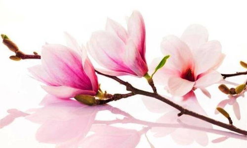 再苦再累也要坚持的句子，累也要坚持的正能量句子