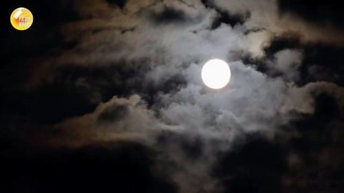 关于彩云的歌曲有哪些，彩云追月原版的歌词