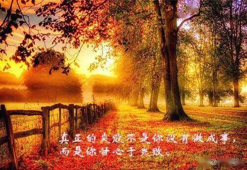 关于秋的歌曲大全100首,歌词带秋字的歌大全