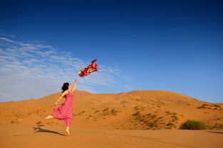 关于在沙漠里的几首震撼歌曲，大漠风情的歌曲