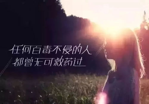 其实都没有歌词含义，抖音很火的一首歌叫什么孤独