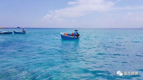 关于海的欢快的歌曲，抖音上很火的海边歌曲