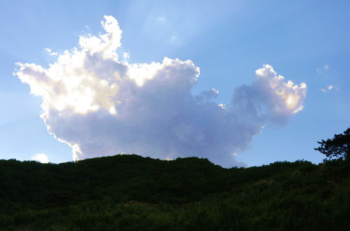 冉冉升起的寓意和象征，冉冉升起是什么意思