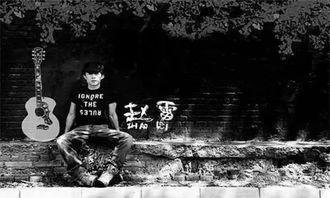 关于赵雷的文案短句，赵雷朋友圈文案