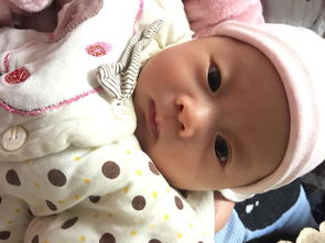 写在妈妈肚子里到生出来的歌,一首关于于从肚子里到出生