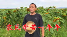 农民不容易歌曲原唱,农民苦农民累原唱视频