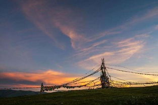 再见是约定还是告别bgm，我和草原有个约定bgm下载