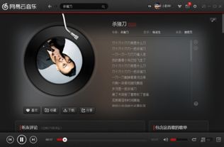 刀刀个刀刀一把杀猪刀是什么歌，杀猪刀的歌词啥意思