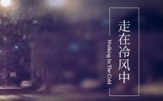 冷风悄悄吹进我衣襟歌词的歌名是，歌词冷风中吹过粤语