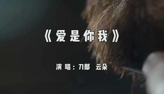 刀郎永不明白歌词，刀郎最好听的12首歌