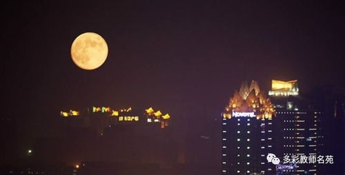 冷冷的月亮挂在天上是什么歌,月亮冷冷的挂在天上这首歌名叫什么