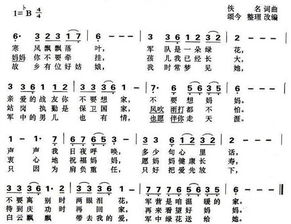 军中绿花作词作曲是谁,军中绿花属于什么歌