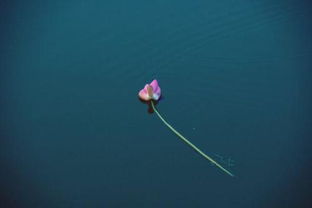 冷雨是什么意思，冷雨的别称