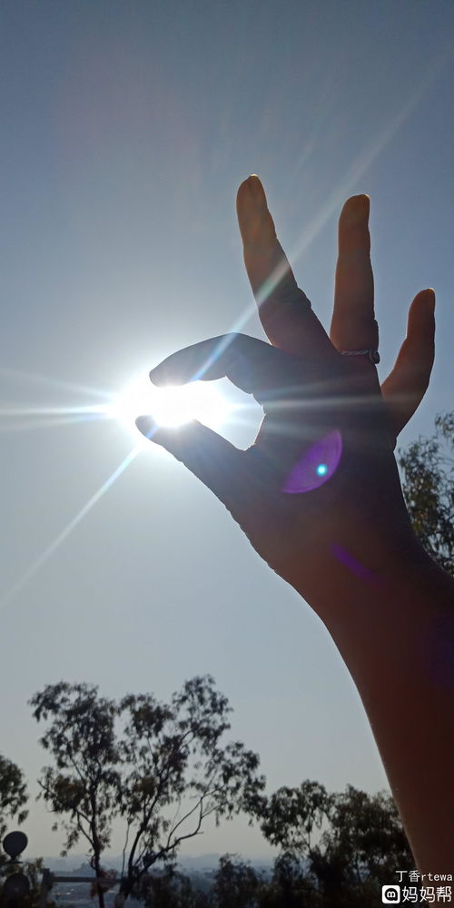 别把爱你的人弄丢了，别把你最爱的人弄丢了歌曲