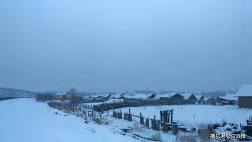 冬天里的一把火谁是原唱，冬天的一把火被禁原因