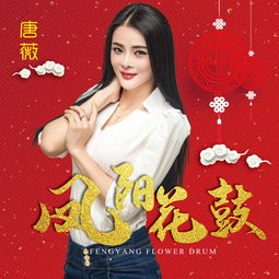 凤阳花鼓原版歌词，凤阳花鼓歌词图片