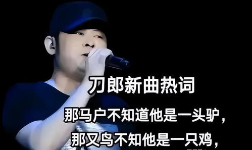 刀郎的罗刹海市是什么意思,韩红评价刀郎和那英