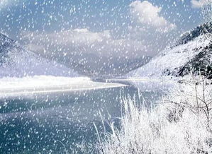 冬天的雪花原唱，冬日的雪花轻轻飘