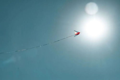 别忘了抬头仰望天空，抬头仰望天空的下一句