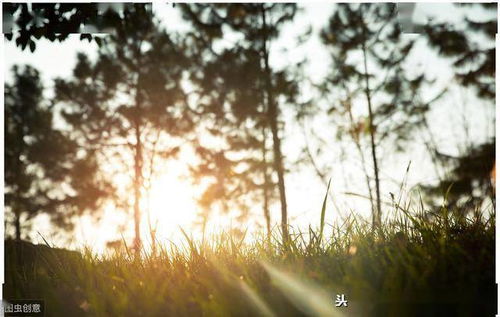 十大感叹人生的歌曲，一些关于人生感悟的歌