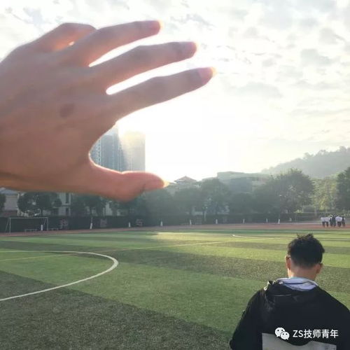 十大校园毕业歌曲排行榜，青春朝气蓬勃的歌曲