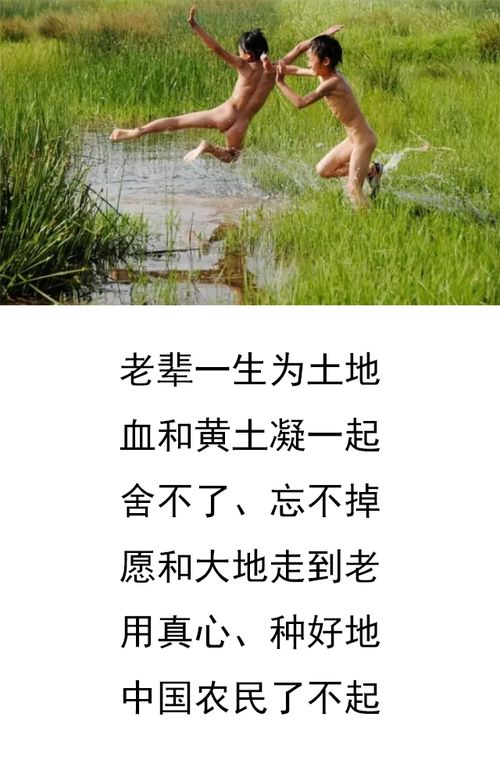 十句农民辛苦的句子，赞美农民的优美句子简短