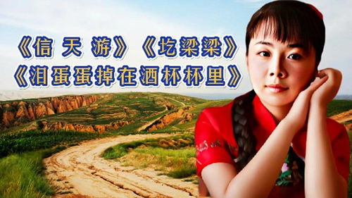 十大催人泪下陕北民歌，陕北民歌《圪梁梁》