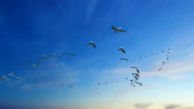 十大励志背景音乐,最火十首励志歌