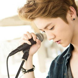 勋章原唱是鹿晗吗，我们的明天原唱是鹿晗吗