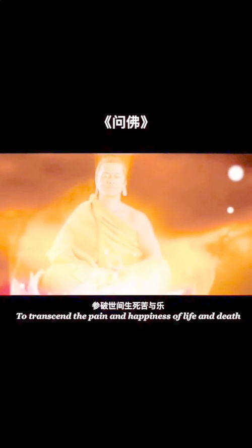 化作佛前莲花一朵是哪首歌的歌词,歌词化作佛前莲花一朵