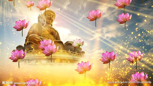 十大最好听的禅意歌曲，歌曲《来生愿做一朵莲》