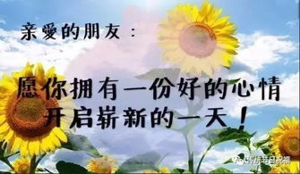 十大开心的歌曲，让人心情好的歌十首