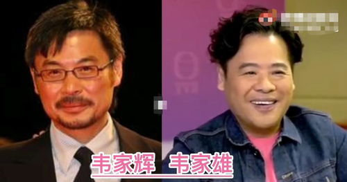 加代兄弟情深歌曲,歌曲一对亲兄弟