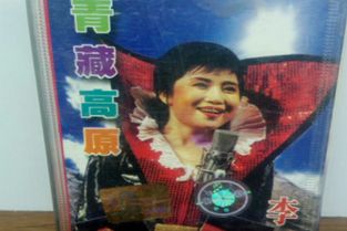 十大撕心裂肺怒吼歌曲,撕心裂肺十大催泪情歌