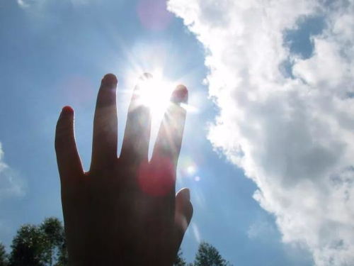 勇敢地向前走是什么歌的歌词,抖音上很火的一首歌彩虹