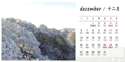 前路漫漫亦灿灿,往事堪堪亦澜澜，前路漫漫亦灿灿是哪首诗