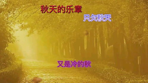 又是冷的秋又是秋的凉什么歌原唱,又是一年秋是什么歌曲