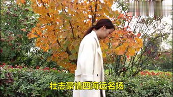 南笙北栀是什么意思，南栀北瑾是什么意思