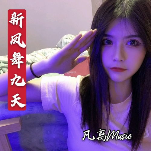 口水旋律是什么意思，口水旋律dj的歌词大全