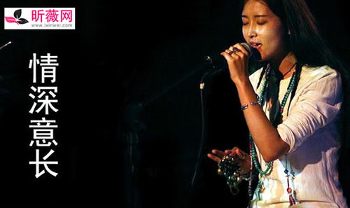 十首最好老歌DJ,八十年代最火DJ