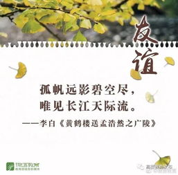 友情永存的句子，友谊深厚的佳句